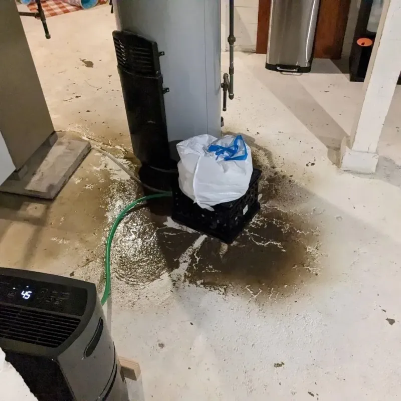 Sewage Backup Cleanup Service in Palo Alto County, IA